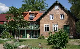 Grüner Wald